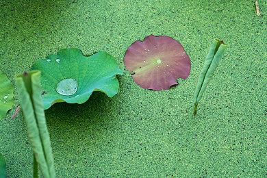 2024年BAFTA游戏大奖提名公布 获奖者4月12日揭晓